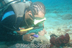 Divemaster checking out a Black frogfish a fair amount of... by Karl Hodgkins 